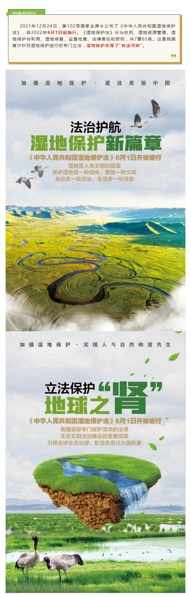 今日施行！《中华人民共和国湿地保护法》.jpg