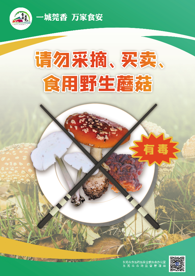 海报2.jpg