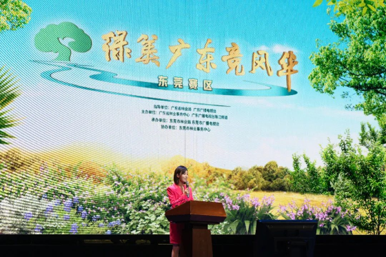 已编辑图片