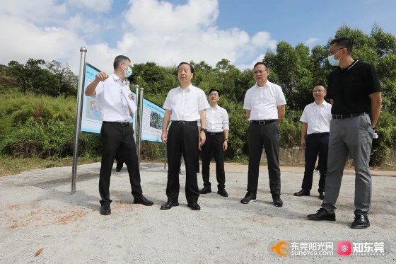 已编辑图片