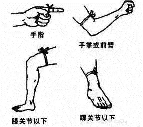 640.webp (5).jpg