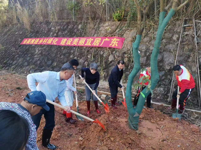 3月12日,樟木头镇党委书记、第一林长黄淦洪开展植树活动.jpg