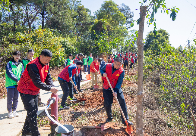 3月12日 蒋亚军吴庆球植树(王敬新摄) (4).jpg