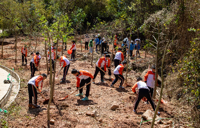3月12日 蒋亚军吴庆球植树(王敬新摄) (1).jpg