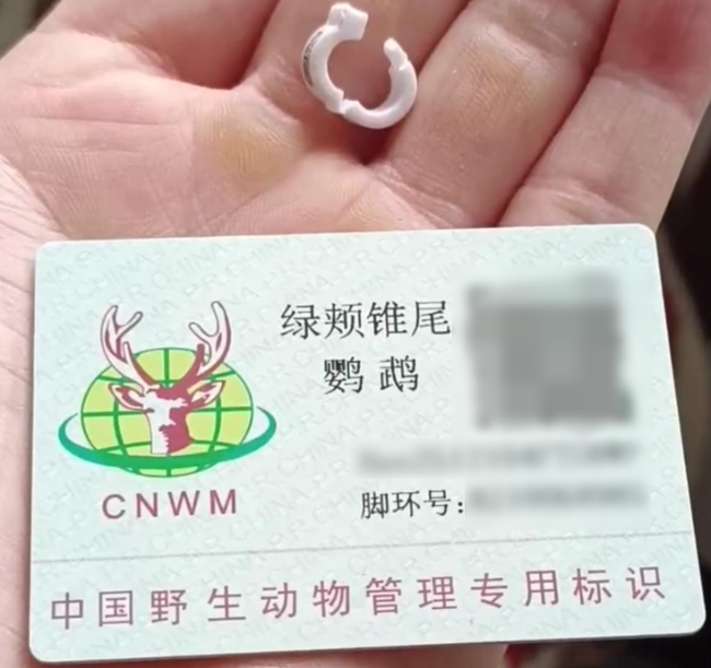 图片15.png
