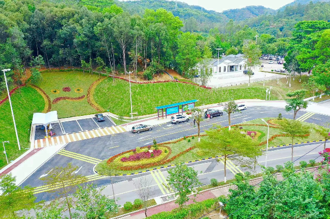 后3.jpg