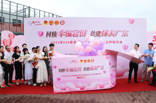 镇村绿化美化 (3).jpg