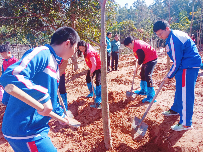 镇村绿化美化 (6).jpg