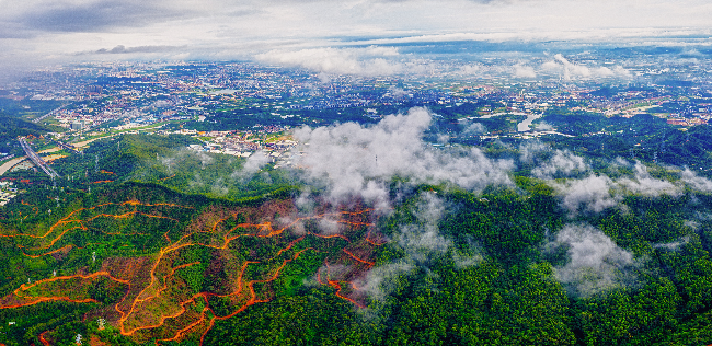 绿美示范带—旗岭森林公园与美丽田园 (1).jpg