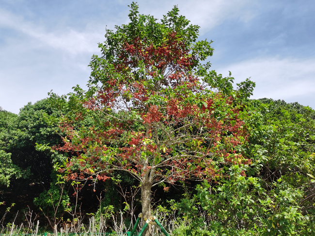 微信图片_20241024151748 - 副本.jpg