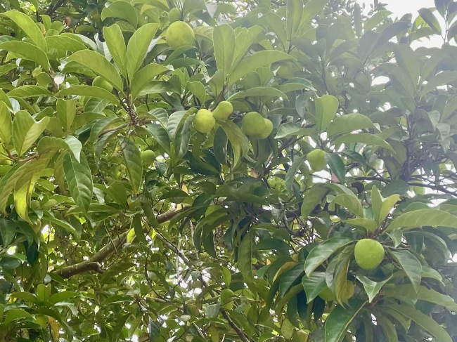 059ffa5618e649ec65451049d0ddc7b - 副本.jpg