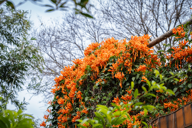 DSC09659 拷贝.jpg