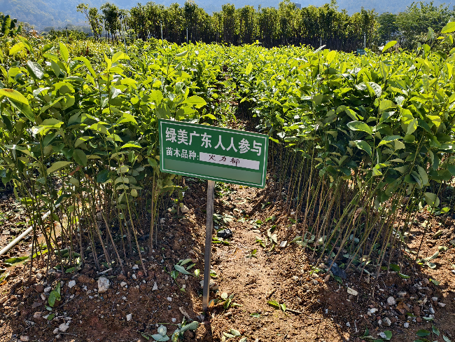 微信图片_2025-01-14_103205_910(1) 拷贝.jpg