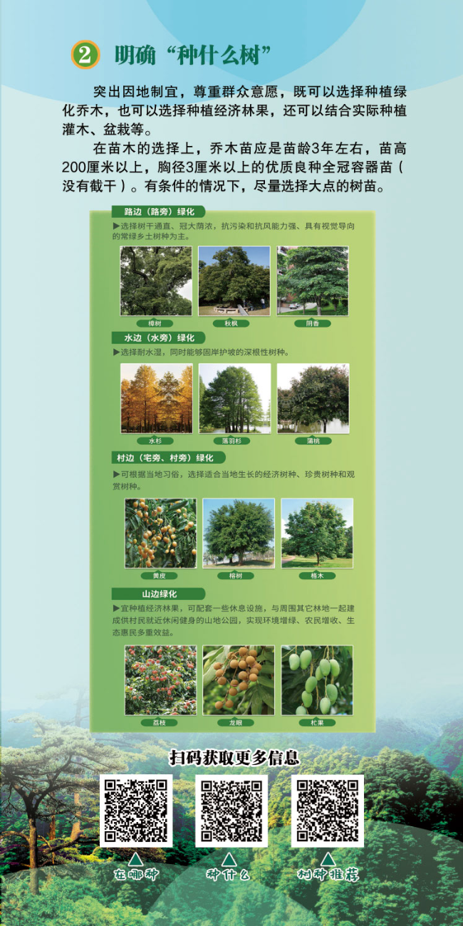 乡村绿化工作导图小册子-单页浏览版(1)-3.jpg