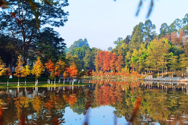 童话色彩(1).jpg