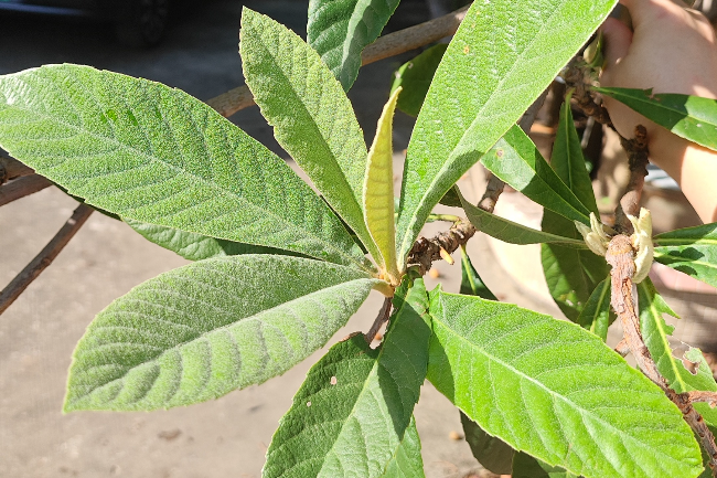 854873989233643522 - 副本.jpg