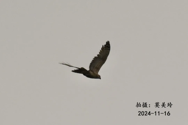 微信图片_20250526094029.png