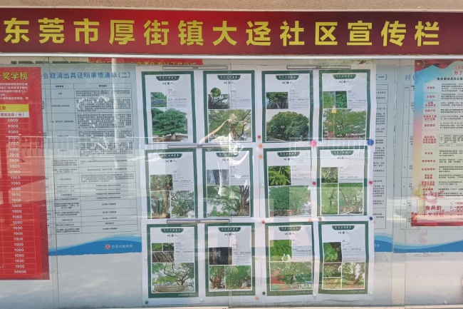 图片18.png