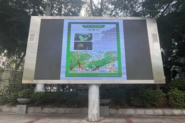 图片16.png