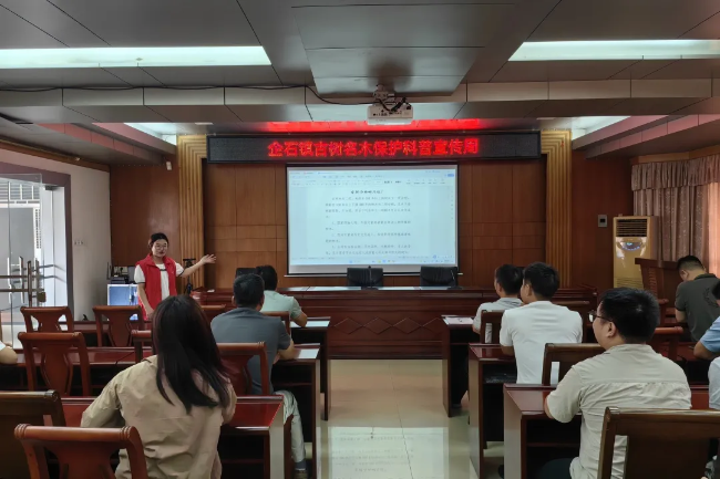 图片15.png