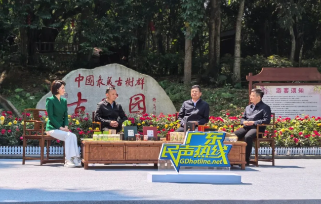 图片13.png