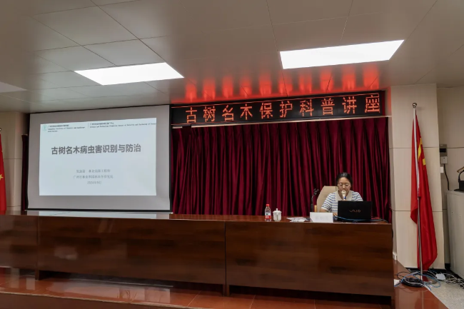 图片8.png