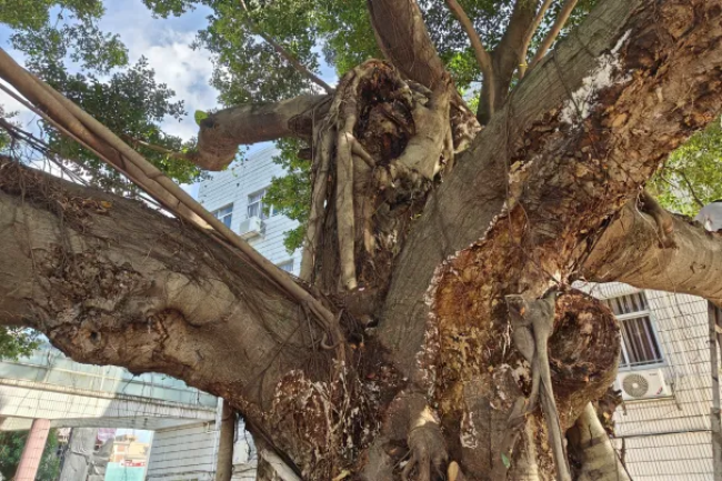 图片16.png