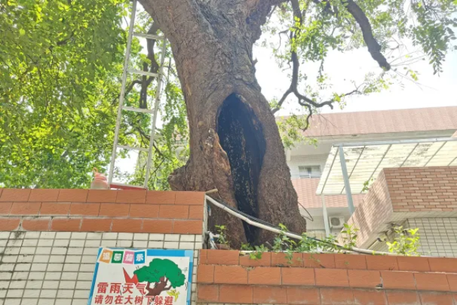 图片18.png