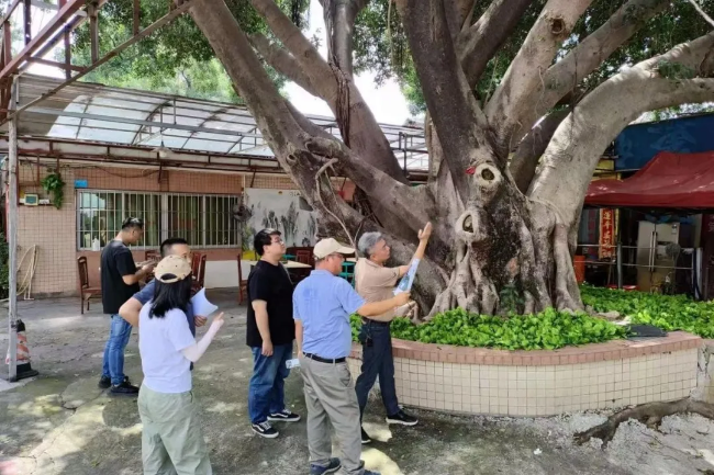 图片27.png