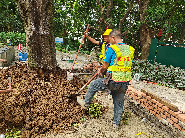 土壤改良 - 副本.jpg
