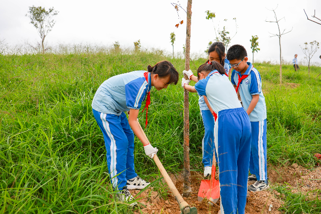 2025年清溪镇“我为全运种棵树”义务植树活动（青少年种树）.jpg