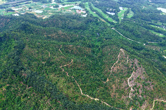 微信图片_2026-03-20_111828_363 - 副本.jpg