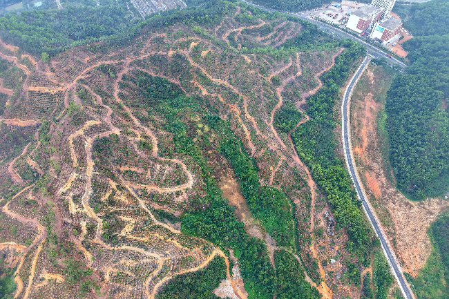 微信图片_2026-03-20_111826_171 - 副本.jpg