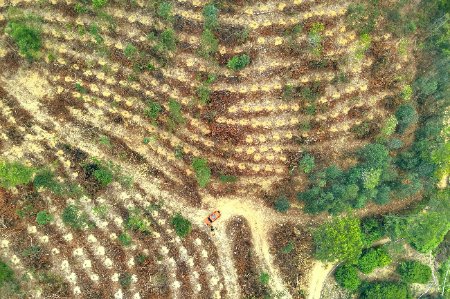 微信图片_2026-03-20_111819_547 - 副本.jpg