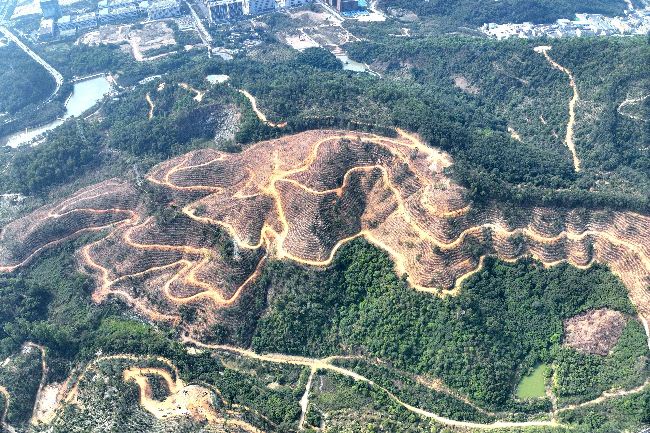 微信图片_20260320113757_750_3.jpg