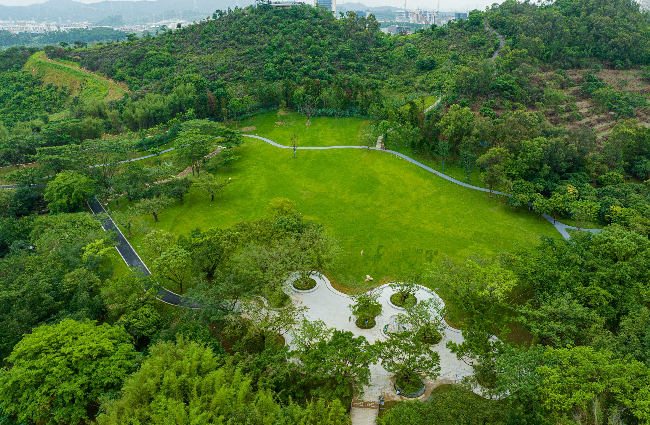 松山湖科学公园绿美点林分优化.jpg