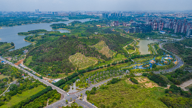 松山湖科学公园绿美点鸟瞰图.jpg
