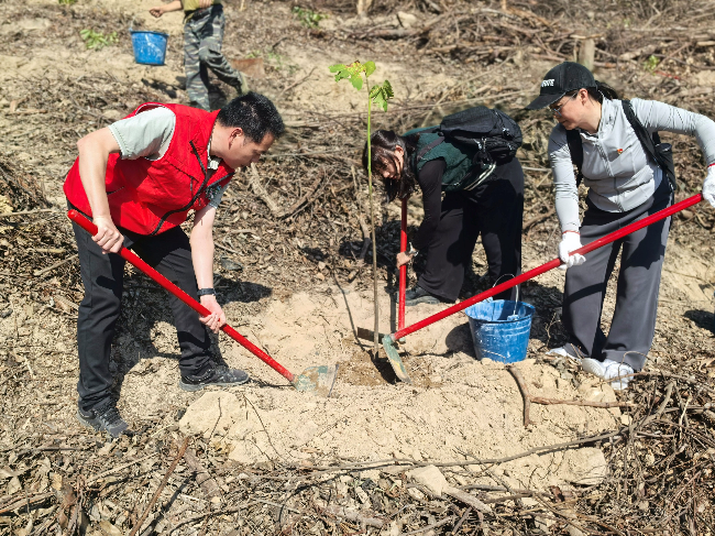 市政数局(1) - 副本.jpg