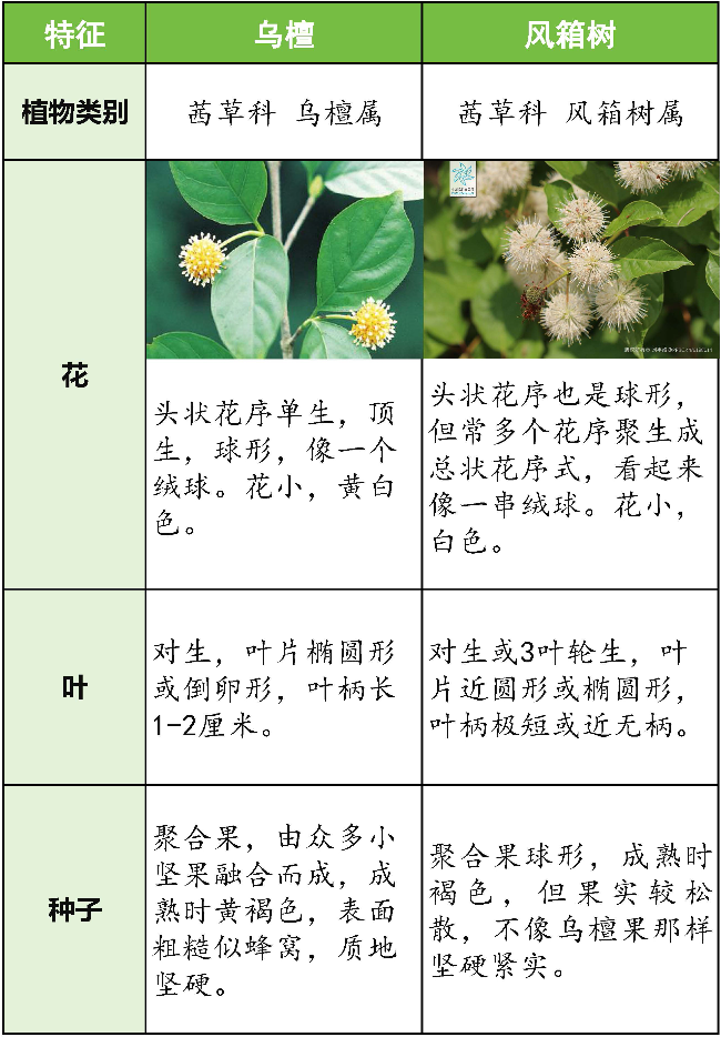 工作簿1 拷贝.jpg