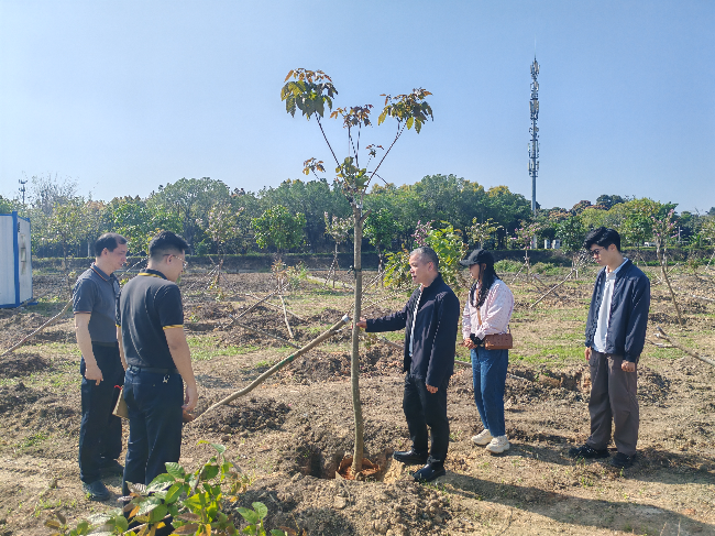 3月16日，林业科学研究所严朝东前往茶山镇南社村指导镇村业务骨干开展乡村植树绿化.jpg