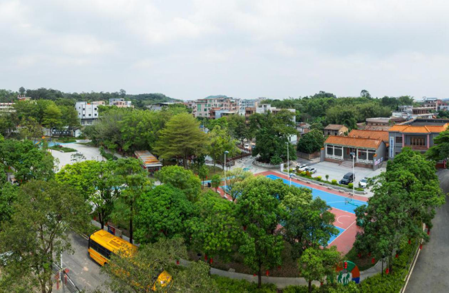 秋枫古树公园.jpg