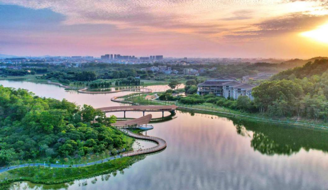 东清湖湿地公园.jpg