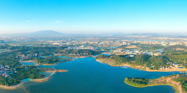 企石镇旧围村.jpg