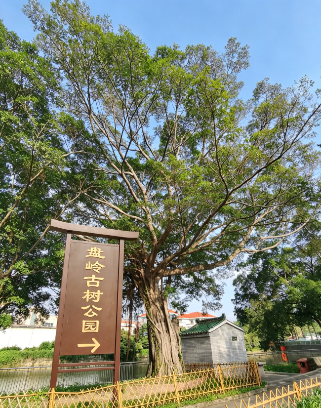 微信图片_20260527164909_271_315.jpg