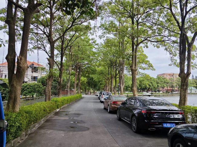田边村2.jpg