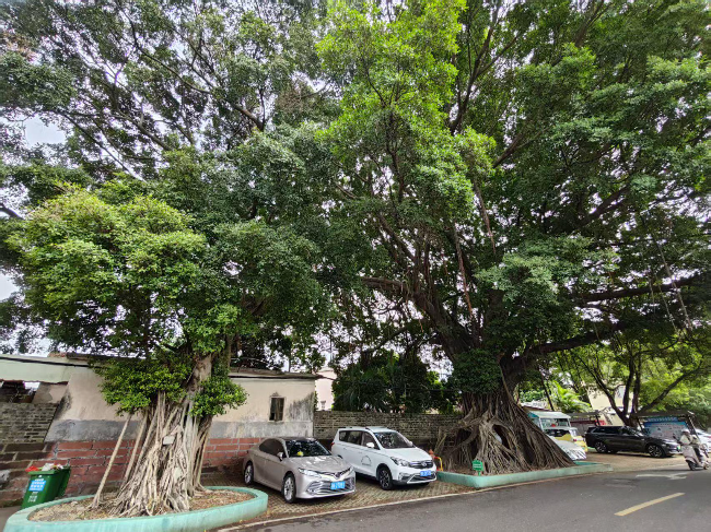田边村3.jpg