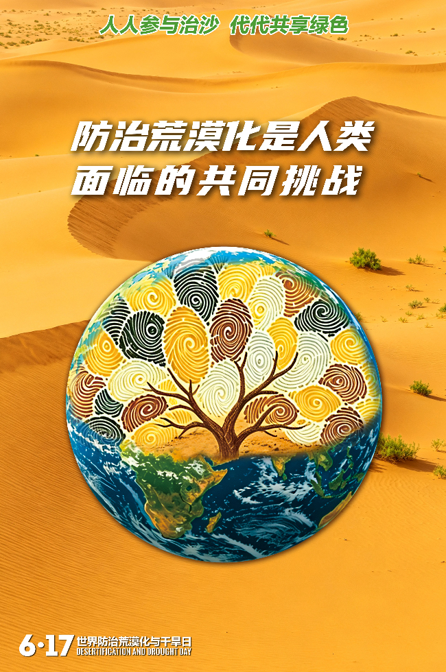 15184346sffn.jpg