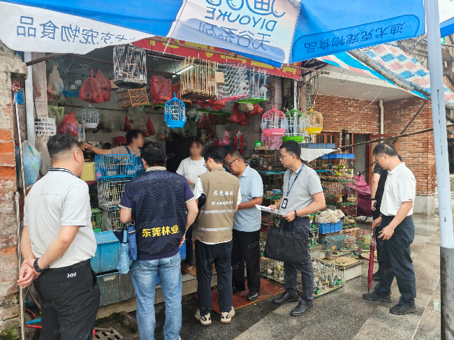 watermark_db19532426672d0c97c5c44a77b02003 拷贝.jpg