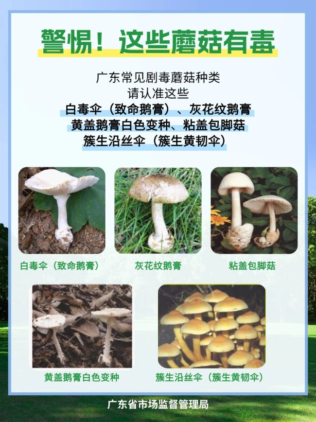 微信图片_2026-06-25_154953_105.jpg