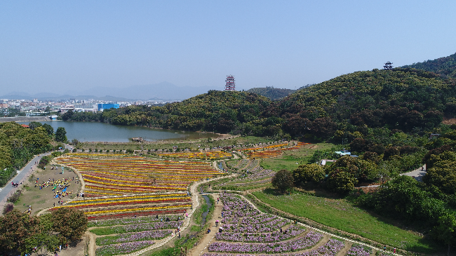 清溪镇山水天地森林公园景观节点8.jpg